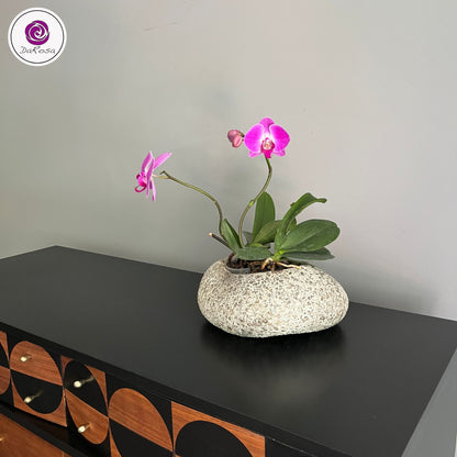 MCM Dresser with Circle Pattern