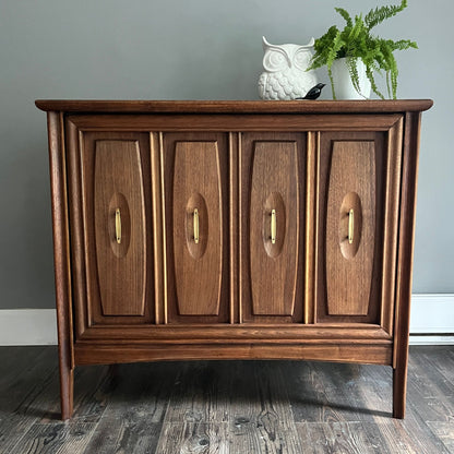 Walnut MCM Cabinet with Flip Door