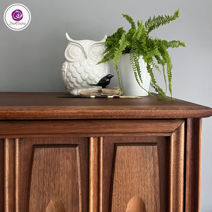 Walnut MCM Cabinet with Flip Door