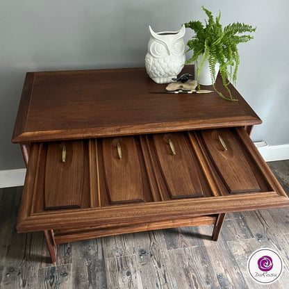 Walnut MCM Cabinet with Flip Door